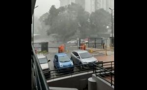 Árbol cayó sobre un auto en movimiento durante fuertes lluvias en Terrazas del Ávila (Video)