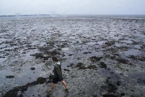 Huracán Ian: El mar en Tampa desaparece y residentes comparten VIDEOS del fenómeno