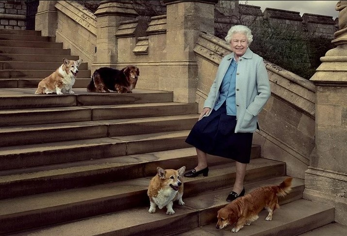 El futuro de los perros de Isabel II: quién se quedará con los fieles compañeros de la reina