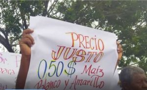 María Beatríz Martínez: Productores venezolanos sobreviven a la espada de damocles de la agroindustria 