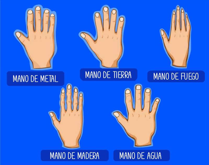 ¿Cuáles son los tipos de manos y qué significa?, según la quiromancia