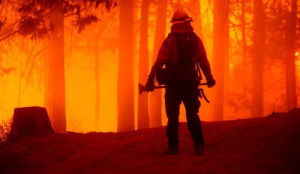 Vasto incendio y centenas de hogares evacuados en Oregón, EEUU