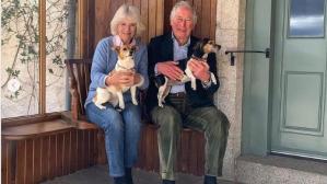 De la reina de los corgis, a la que adopta mestizos: ellos son Beth y Bluebelle, los nuevos perros reales británicos