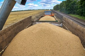 Ucrania ha exportado más de tres millones de toneladas de grano por el Mar Negro