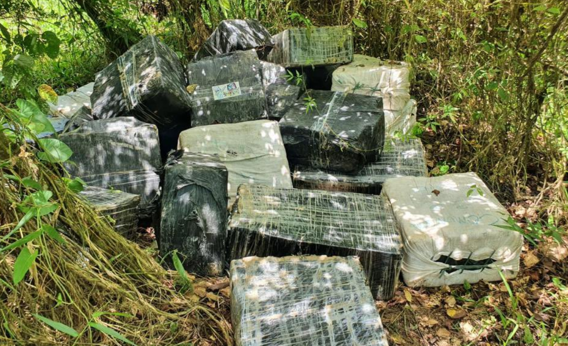 Fanb incautó más de 2.000 kilos de cocaína de alta pureza en el Catatumbo