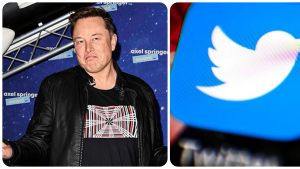 “El pájaro fue liberado”, escribió Elon Musk en Twitter… pero de los MEMES nadie se libra