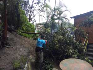 Lluvias ocasionaron afectaciones en 19 viviendas y varias vías en Carrizal