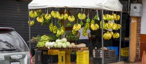 Comprar frutas se volvió un lujo para los habitantes de San Cristóbal