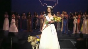 Joven con epilepsia se robó el show tras ganar Miss Dallas Teen junto a su perro de servicio (VIDEO)