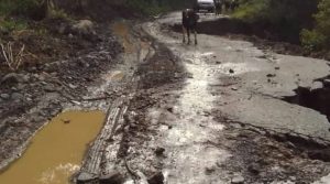 Carreteras colapsadas por las lluvias ponen en riesgo movilización de camiones con producción de leche en Mérida