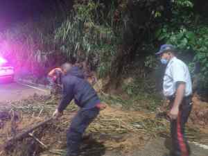 Deslizamiento de tierra en la Panamericana fue atendido por funcionarios policiales