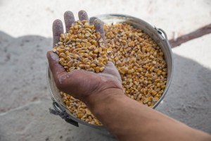 La ONU y Rusia se reúnen para intentar la renovación del acuerdo del grano