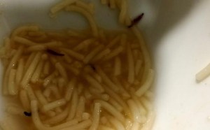 Reconocido hospital español pide explicaciones tras la aparición de gusanos en la comida de los empleados