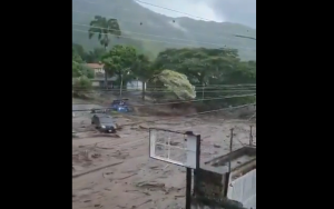 Potente desbordamiento del río en El Castaño se llevó un árbol por el medio (Video)