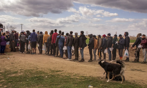 Casi cien refugiados fueron hallados desnudos en la frontera de Grecia con Turquía (Foto)