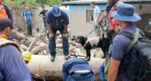 Unidad canina rastreó y ubicó el cadáver de otra víctima de las lluvias en El Castaño