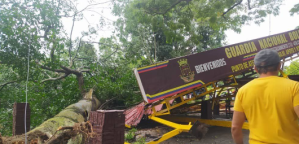 Alcabala de la GNB colapsó en Táchira luego que un árbol cayera sobre ella (Video)