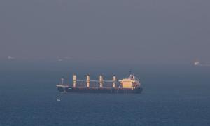 Salen seis buques de Ucrania tras reanudarse el acuerdo del grano
