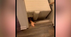 Drama en EEUU: Bomberos tuvieron que ir a rescatarla por quedar atrapada debajo de su sofá (VIDEO)