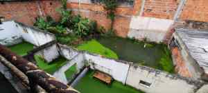 Vecinos de la Residencia de Gobernadores en Táchira sobreviven en medio de pantanos verdes y olores nauseabundos