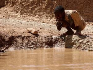 África, al borde de una gran tragedia: la sequía se intensifica y sus habitantes sufren