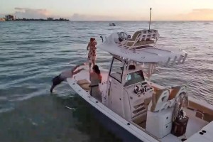 Se hundió el amor: La propuesta de matrimonio en Florida que acabó con el anillo en el fondo del mar (VIDEO)