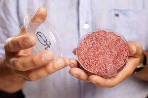EEUU aprobó un producto de carne cultivada a partir de células animales