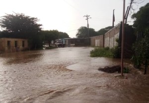 Alerta en Falcón: se desbordaron tres quebradas e inundaron todo el pueblo de Paraguaná (IMÁGENES)