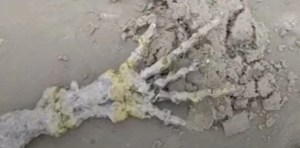 “No sabemos si es de un extraterrestre”: Encontraron una misteriosa mano esquelética en una playa