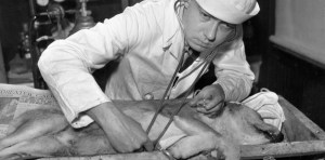 El científico de EEUU que resucitaba animales y no le dejaron probar su experimento con humanos