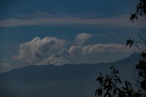 Volcán Cotopaxi en Ecuador emana columna de 900 metros de vapor y ceniza