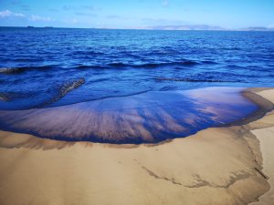 Alerta en Lechería: derrame de crudo obligó al cierre de las playas por 72 horas
