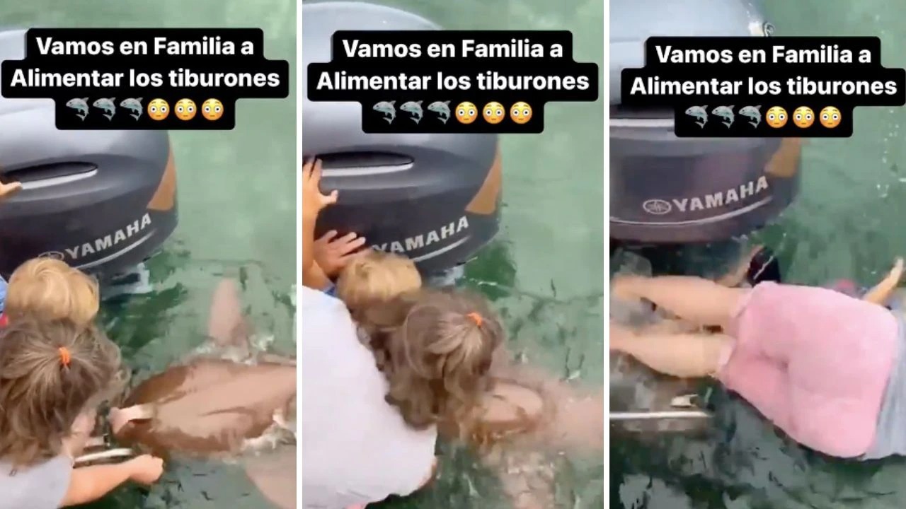 Impactante VIDEO: Llevó a su hija a alimentar tiburones, pero uno de ellos la arrastró hacia el agua