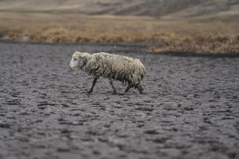 Desapareció una laguna tras sufrir la peor sequía reciente en los Andes de Perú (FOTOS)