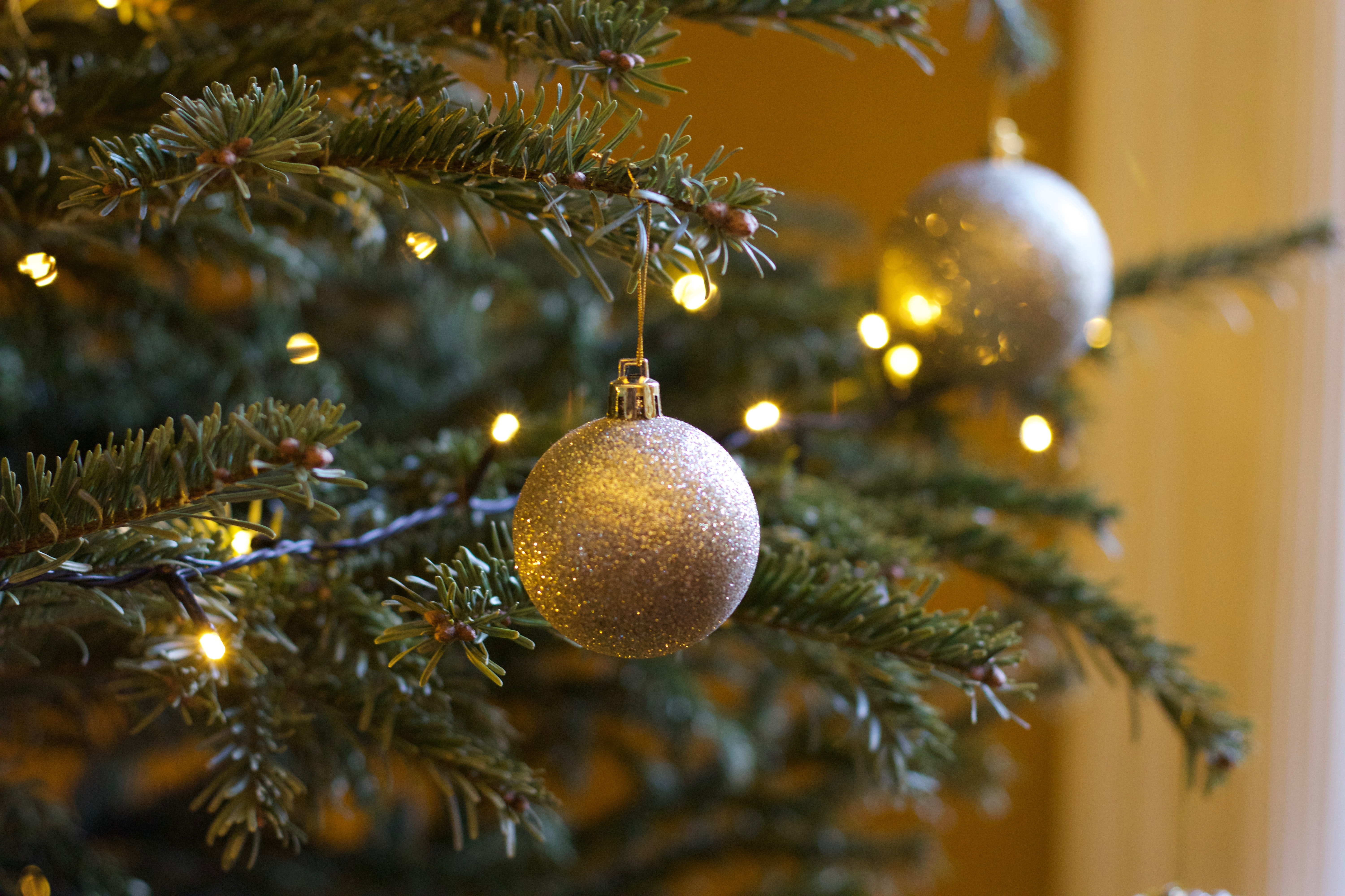 No es el nacimiento de Jesús: esta es la verdadera historia del origen pagano de la Navidad