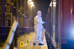 Al menos dos muertos y siete heridos en un ataque a cuchilladas en un tren regional alemán