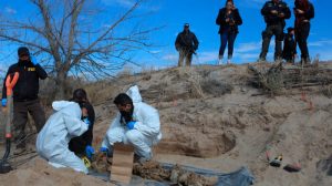 Descubren seis cadáveres en fosas clandestinas en el estado mexicano de Michoacán