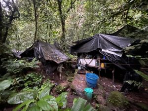 Hallaron laboratorio para procesar cocaína en frontera de Ecuador con Colombia