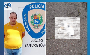 Imputaron a sujeto que arrolló intencionalmente a un gato en Táchira