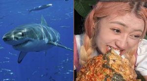 Multan por más de 18 mil dólares a bloguera china por cocinar y comerse un tiburón protegido