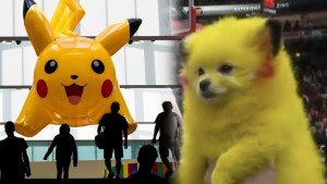 Indignación y rechazo por hombre de Miami que quería convertir a su mascota en Pikachu