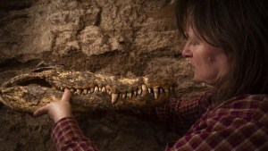 Sorpresa en una pequeña tumba egipcia: hallan diez momias de cocodrilos