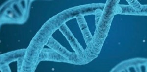 El ADN humano está “en casi todas partes” y “podría ser un dilema”, advierten investigadores