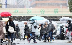 Emiten alerta para Tokio por fuertes nevadas
