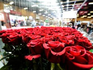 La llegada de toneladas de flores a Miami anuncia ya San Valentín