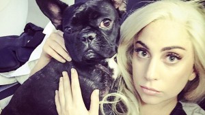 Mujer relacionada con el robo de los perros de Lady Gaga demanda a la cantante