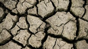 Europa en alerta máxima: el calor invernal secará ríos, canales y lagos a un mínimo histórico