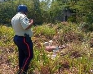 Terrible hallazgo en Zulia: un cuerpo en descomposición a plena luz del día