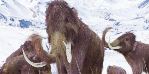 Científicos rusos intentan revivir un virus encontrado en un mamut lanudo de la Edad de Hielo