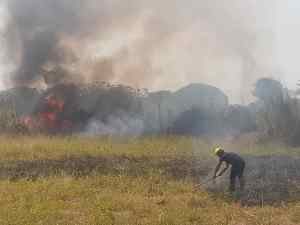 Incendios en Barinas causaron grandes daños en jardín botánico de la Unellez, ciudad deportiva y cementerio